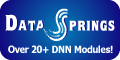 Data Springs - Great Ideas. Always Flowing.